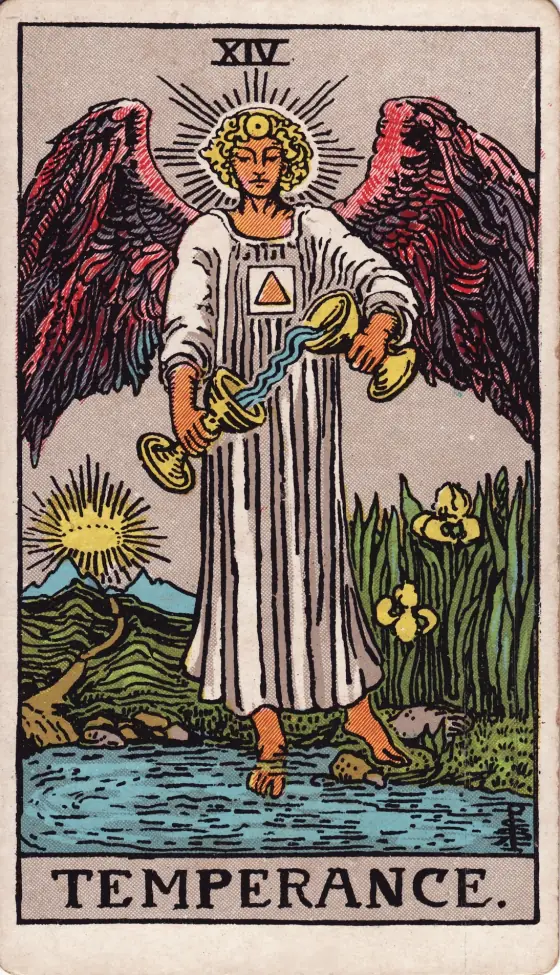 Temperance from the 1909 deck: a winged figure pours water from one cup into another, one foot on the bank and one in a pool, irises beside it and a path leading to the mountains.
